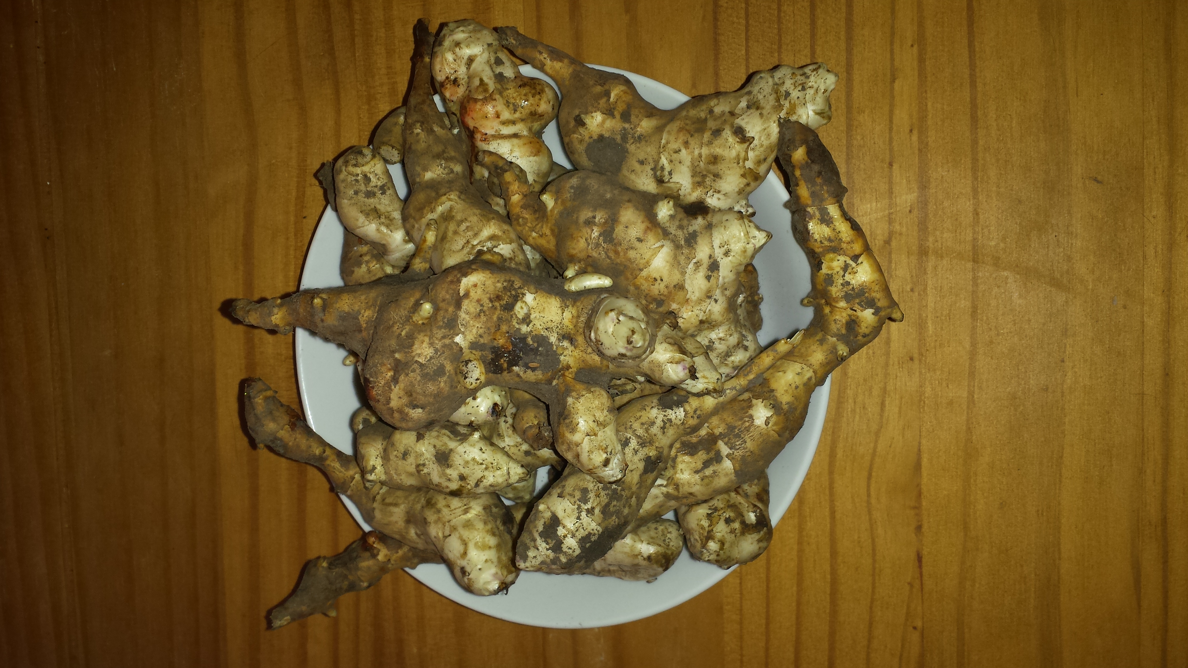 Jerusalem artichokes harvested from a single plant