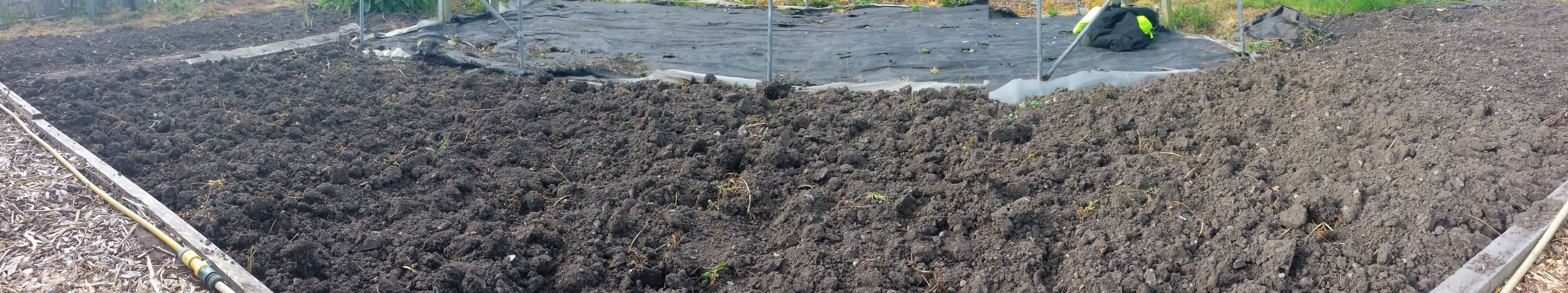 Bed following the digging in of the manure 